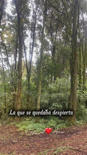 Amor propio: elijo paz y dignidad sobre la ausencia