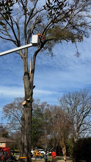 Progress… | Tactical Trees