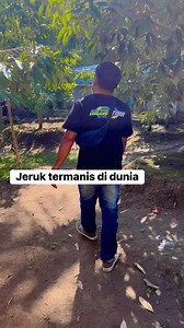 Copet jeruk dngan | War Awar