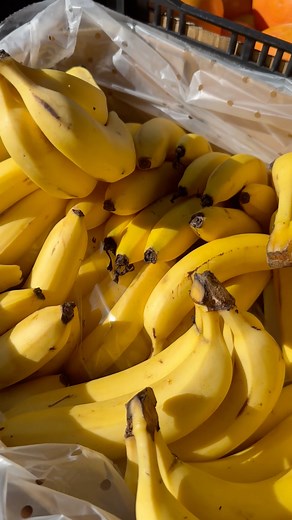 🌤️ Saturday mornings shine bright at Ramsgate Food Market! 📍Ramsgate Public School ⏰8AM–1PM 🍅 Fill your basket with farm-fresh produce and local seasonal picks 🥐 Treat yourself to artisan loaves, golden pastries & homemade goodies 🎵 Stroll through the stalls with live tunes setting the mood 🍔 Savour delicious street eats, browse creative makers & discover bold flavours 🎈 Kids will love the jumping castle, snow cones & open space to play 🌸 A buzzing local market bursting with community sp