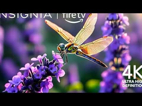 INSIGNIA 65-inch 4K UHD Smart Fire TV Review: Alexa Voice Remote NS-65F501NA24