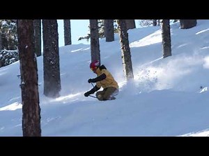 Ski the Trees: Tree Tactics