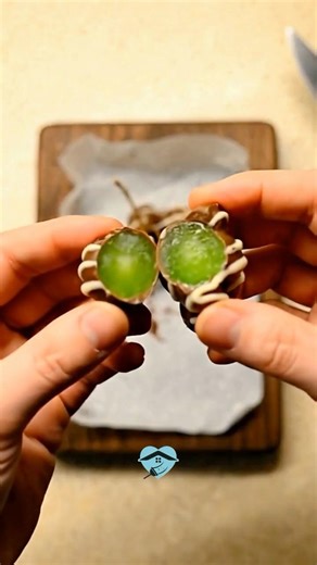 Chocolate Covered Grapes – A Sweet Snack Idea