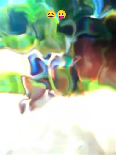 ও ভাবিরা কই গো.. 😆💨🐸#keşfet #yyyyyyyyyyyyyyy #bbbbbbbbbbbbbb #CapCut @গুনডা~ভাই:♨️ @TikTok Bangladesh @For You @S𝙷𝙰𝙽𝚃𝙾