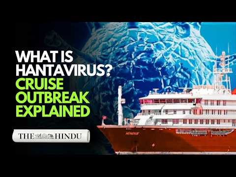 Hantavirus: What you need to know | Explained