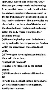Q7: Case/Source based questions. (2024) Human digestive system ... | Filo