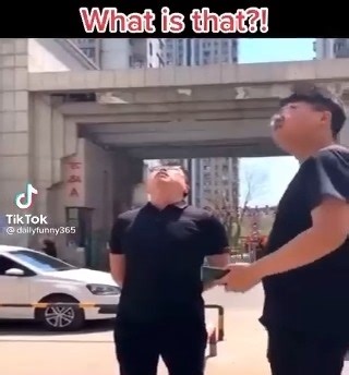 People will literally stop and watch ANYTHING! | Amazing Videos