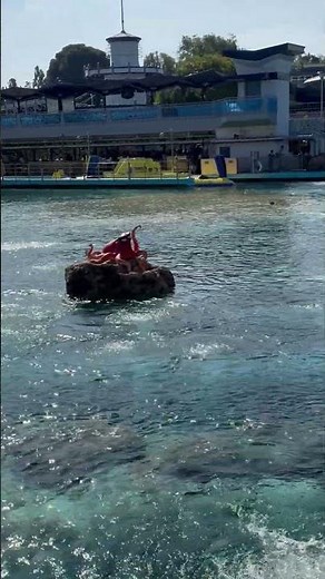 Disneyland Finding Nemo Submarine Voyage #disneylandrides #disneyland #submarine #findingnemo