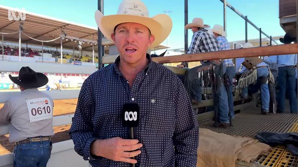 Mini bulls rise in popularity