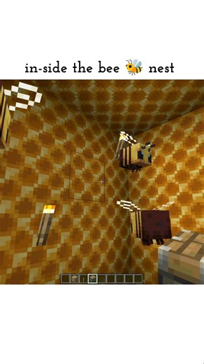 #minecraft - inside the bee nest? #shorts #minecraftshorts
