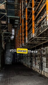 6K views · 70 reactions | The Bloodiest 47 Acres In America. Join the ghost hunt | Ghost Hunt Weekends | Facebook