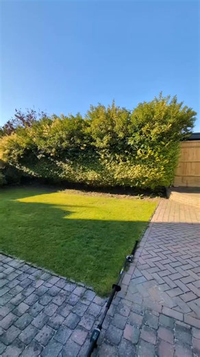 1.8K views · 13 reactions | Privet hedge reduction #gardening #gardener #satisfyingvideo | Gary Hall Garden Services | Facebook