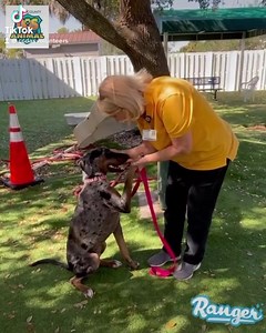 1.9K views · 192 reactions | ‼️ Adopted ‼️ Check out this stunning...