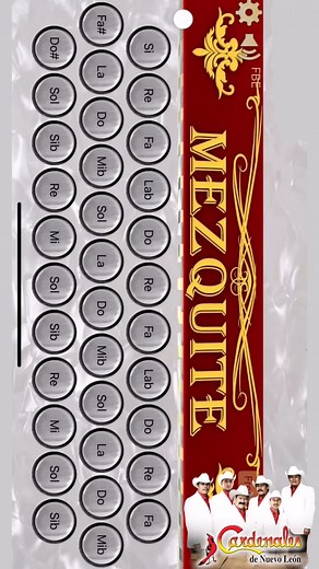 Belleza De Cantina En Acordeón Mezquite 🪗 #SuenaElAcordeon #AcordeonDeBotones #AcordeónMezquite #SoyAcordeonista