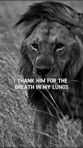 Trust That God's Will Is Greater Than Your Understanding 🙏