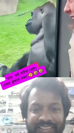 ঘরে বউ রাইখা প্রেম,এবার বুজবে মজা 🤔🤣🤣#shortvideo