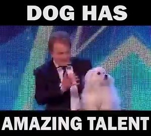 107K views · 1K reactions | Amazing on Reels | Facebook