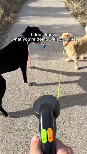 Retractable Dual Dog Leash🐾