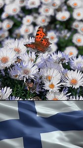 31K views · 1.2K reactions | Beautiful Finland  #finland | Finnish Outlook | Facebook