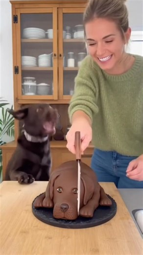 14K views · 144 reactions | She cut a dog cake and the real fat dog freaks out !!#dog #funnyreels #cutedogs #justcakes #reactstocake #dogs #doglover #prank | The Josyy | Facebook