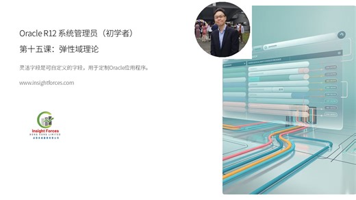 Oracle EBS | Oracle R12 系统管理员 (初学者) | 第十五课：弹性域理论 | 普通話版本