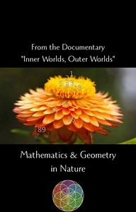 6.2K views · 128 reactions | A golden spiral is a logarithmic spiral...