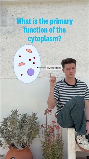 GCSE Biology Quiz - Animal Cells