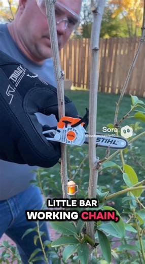 Keychain sized, but big on power. The New Stihl Micro Saw really Rips.. | Guideffect