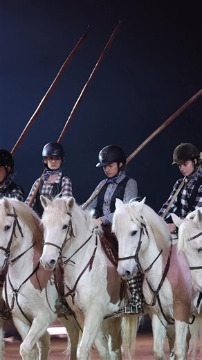 Retour en images sur Poney Passion 2026 ✨ Organisé par le Salon Cheval Passion d’Avignon, ce concours est dédié aux clubs et aux enfants de moins de 18 ans. Un projet unique, ouvert à toutes les régions et un projet clair : créer un spectacle pour le mois de janvier Et cette année, 13 clubs ont participé, dont 4 spectacles ont été créés en partenariat avec des écoles, permettant aux élèves de s’impliquer pleinement dans le spectacle, de la création artistique à la réalisation des décors. 🏆 Le c