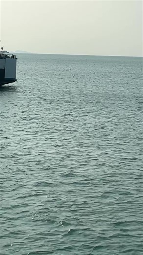 Raja Ferry Koh Samui Lipa Noi Pier