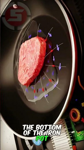 How induction stove works||Electro magnetic induction#electromaganetism#suryansphysics#12th#science