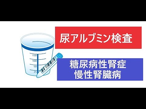 尿中アルブミン検査 微量アルブミン検査