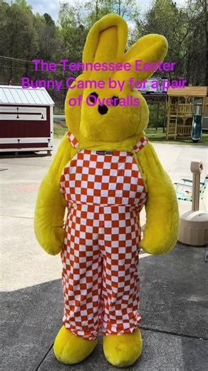 Tennessee Easter Bunny Shops for Overalls
