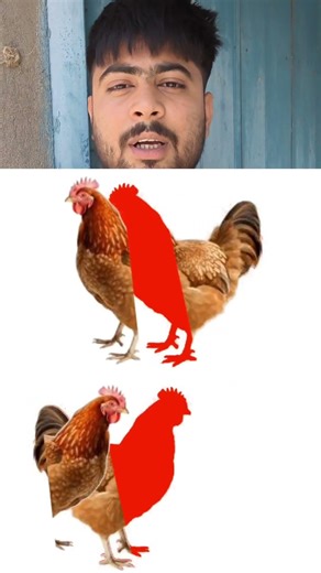 चिकन को सही छाया से मिलाएँ #fblifestyle #shadow #viral #viralreels #shadowhunters