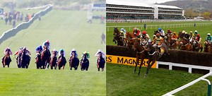 The Ultimate Guide to Flat and Jumps racing - Great British Racing