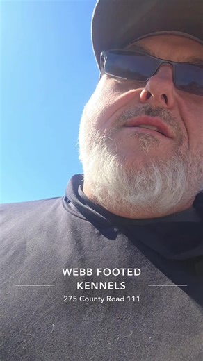 Retriever Training Tips for Sassy Ducks