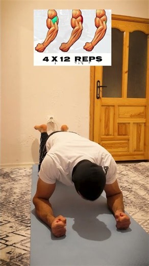 Beginner upper body workout at home ⚡️ #homeworkout