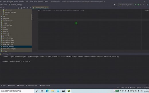 python爬虫工具——selenium的前期安装配置