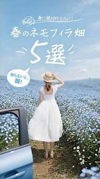 💙This spring, these are the places to go! 5 of the most beautiful Nemophila fields across Japan💙