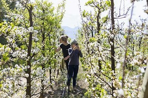 Fun things to do in Cape Town with kids