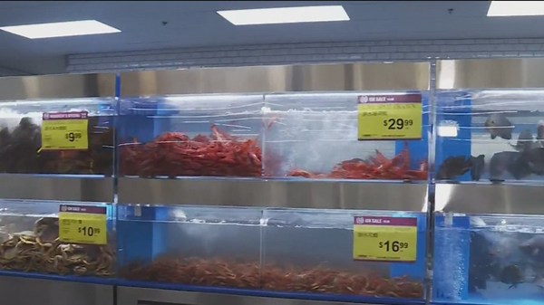 99 Ranch Market expands to Portland with live seafood, premium meats