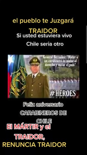 Chilean Military Insignia: Understanding Rank and Affiliation