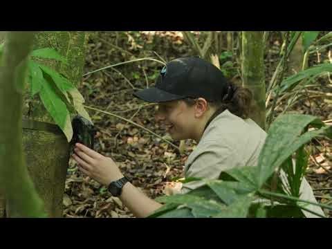 Ecology Research in the Bolivian Amazon (Aquicuana Reserve)
