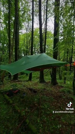 First night in the new Tentsile Connect 3.0 2 person tree tent. Very comfy. Forest camp.@Tentsile