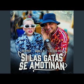 Si Las Gatas Se Amotinan