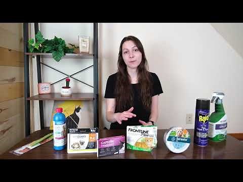 Frontline Plus for Cats and Kittens Review (We Tried It)