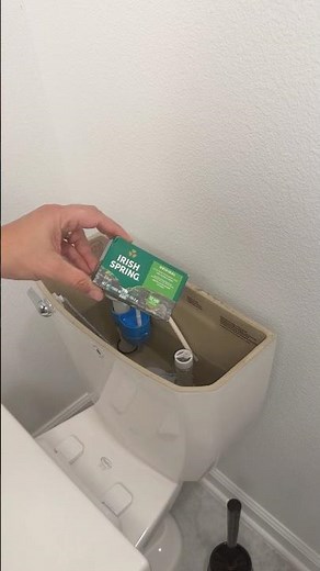 Why Everyone's Putting Soap in Their Toilet Tank #trending #hack #cleaning