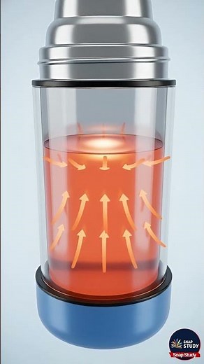 How Does a Thermos Keep Water Hot for Hours? ☕🔥😲