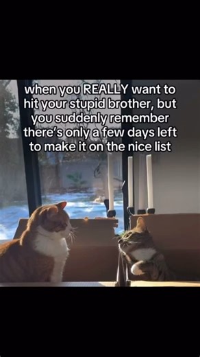 Cat#trollface #memes #viral #shorts