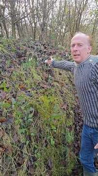 German Snowdrops (galanthus) #gardening #winterflowers #german #snowdrop #wow #woodland #ideas #like